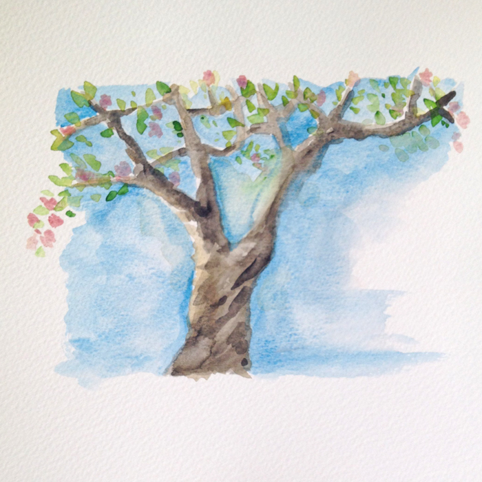 Mellanrumsmålning och form - äppleträd i akvarell. Akvarellkurs hos Anita Tingskull