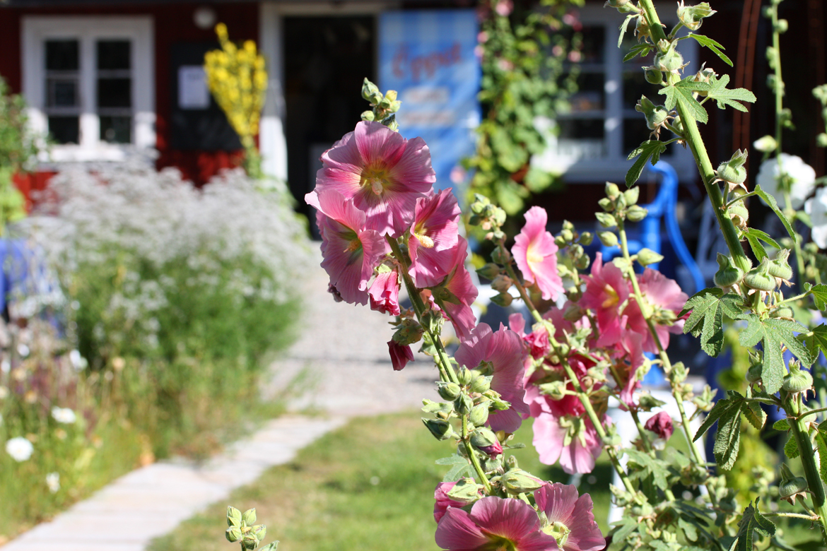 Öppet hos ÖHAND i sommar