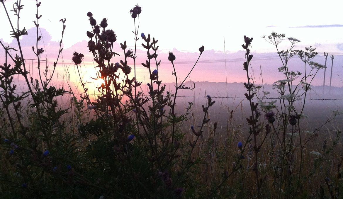 Öland i midsommartid